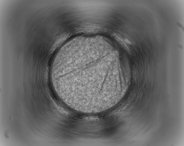 X0000096660586200803041202