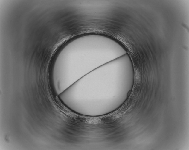 X0000096660587200803041202