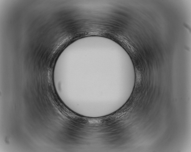 X0000096660591200803041202