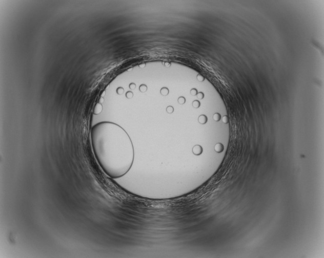 X0000096660592200803041202