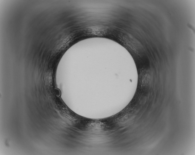 X0000096660595200803041202