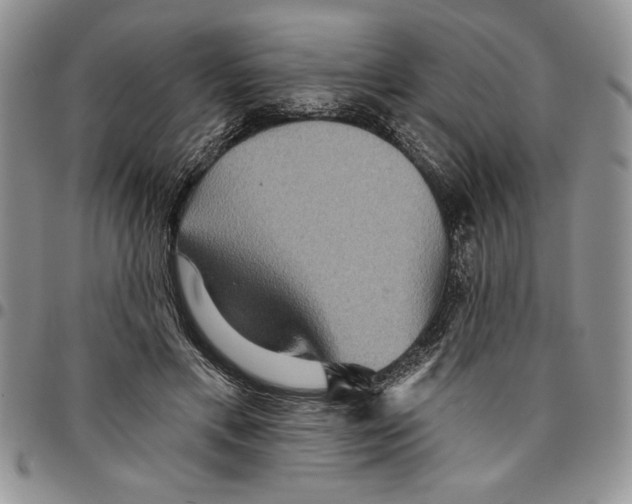 X0000096660597200803041202