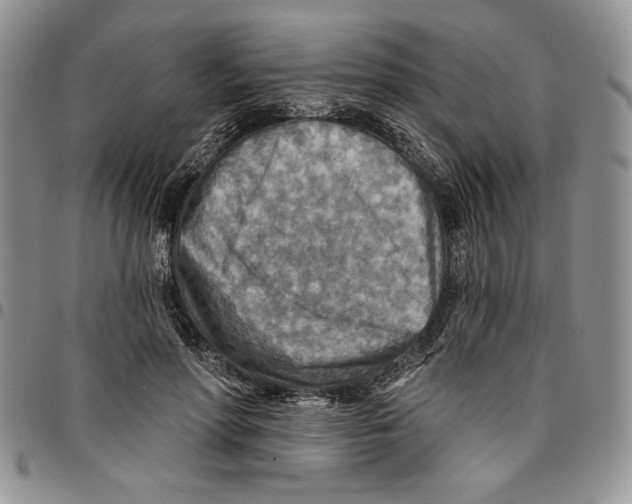 X0000096660598200803041202