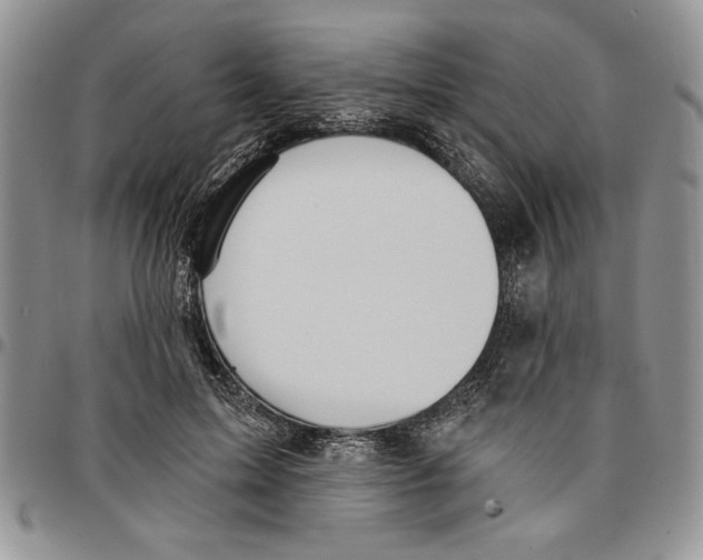 X0000096660599200803041202