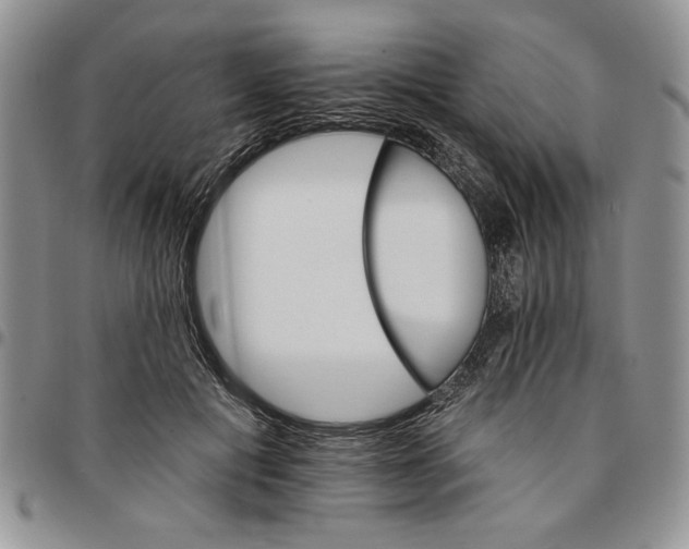 X0000096660601200803041202