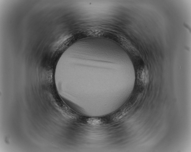 X0000096660602200803041202