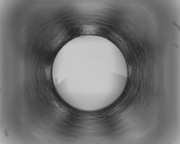 X0000096660603200803041202