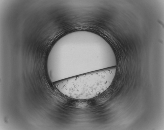 X0000096660604200803041202