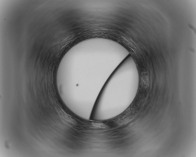 X0000096660605200803041202