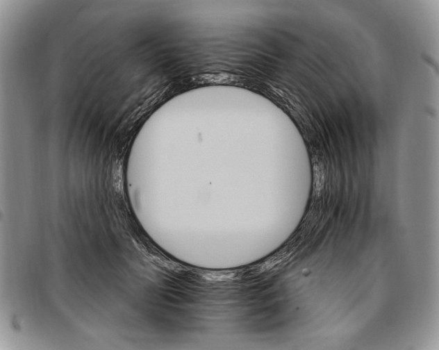 X0000096660606200803041202