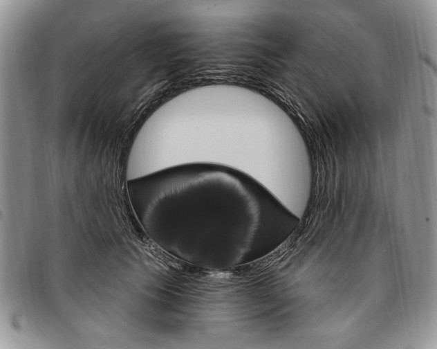 X0000096660609200803041202