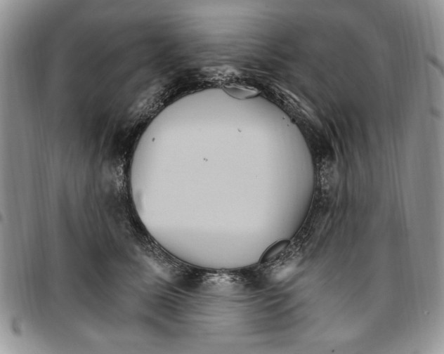 X0000096660611200803041202