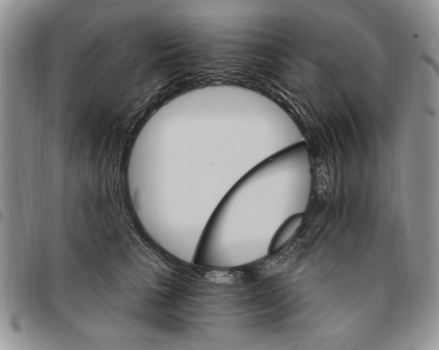 X0000096660613200803041202