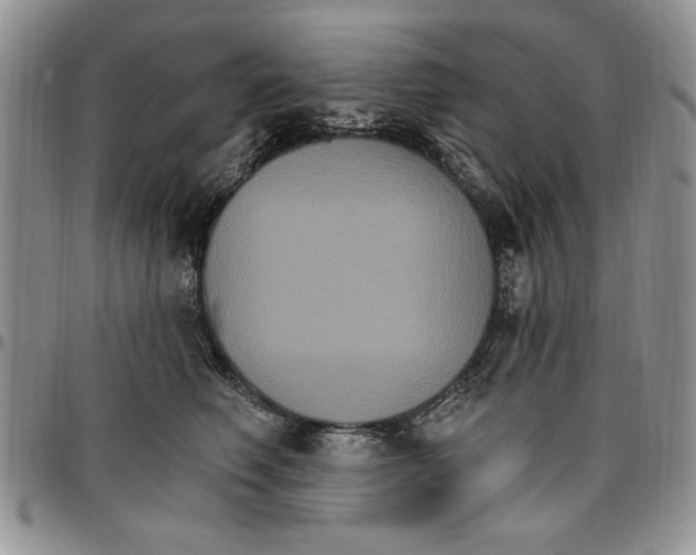 X0000096660614200803041202