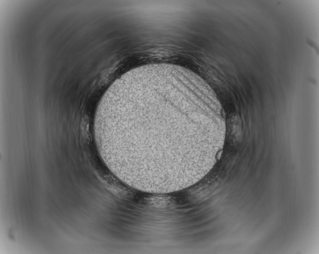 X0000096660615200803041202