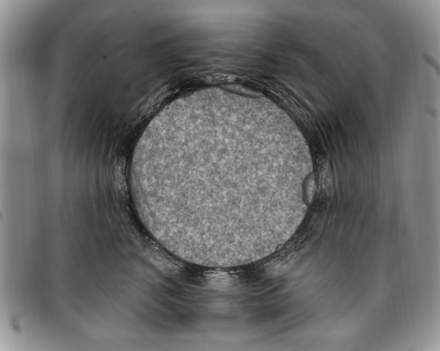 X0000096660616200803041202