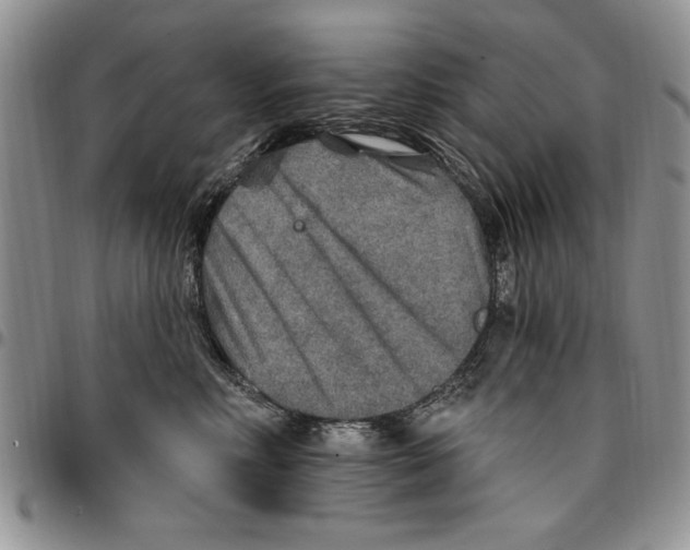 X0000096660618200803041202