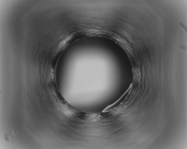 X0000096660621200803041202