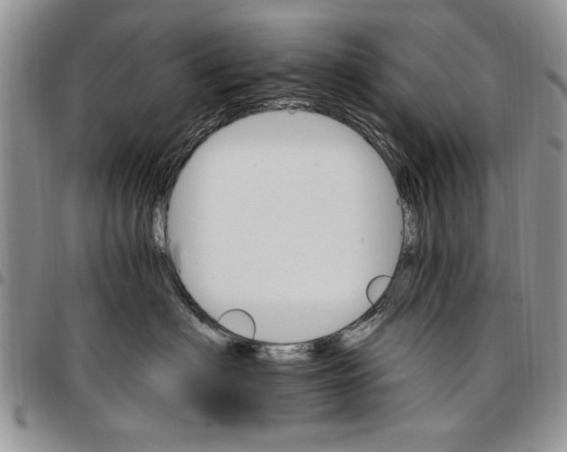 X0000096660622200803041202