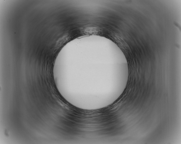 X0000096660623200803041202