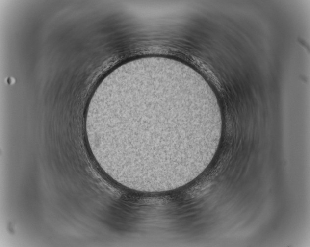 X0000096660625200803041201