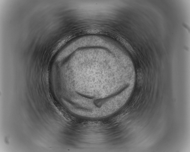 X0000096660626200803041201