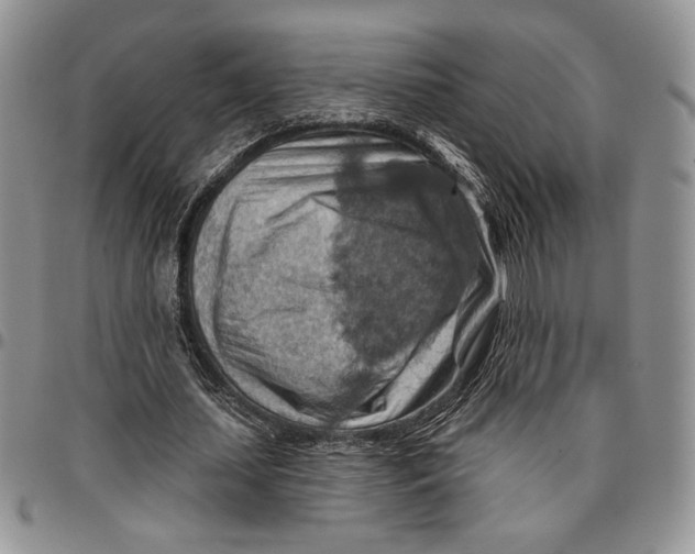 X0000096660627200803041201