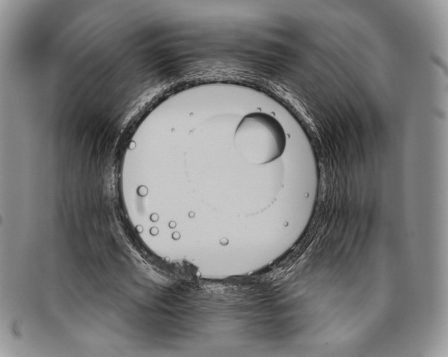 X0000096660629200803041201