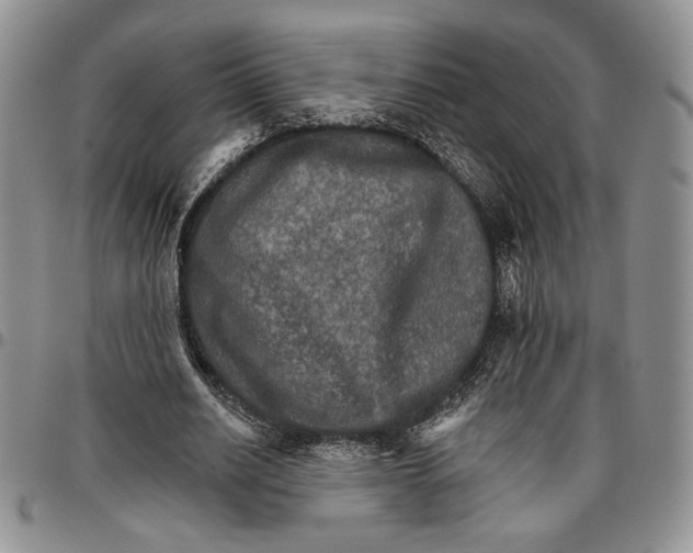 X0000096660630200803041201