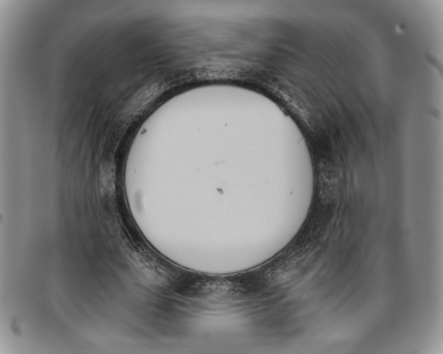 X0000096660631200803041201