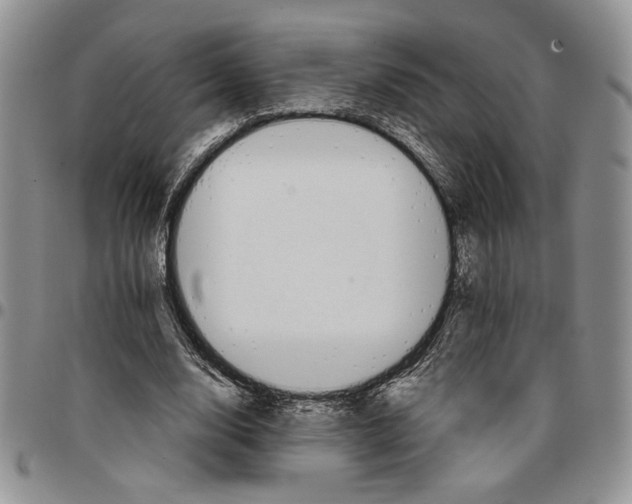 X0000096660632200803041201