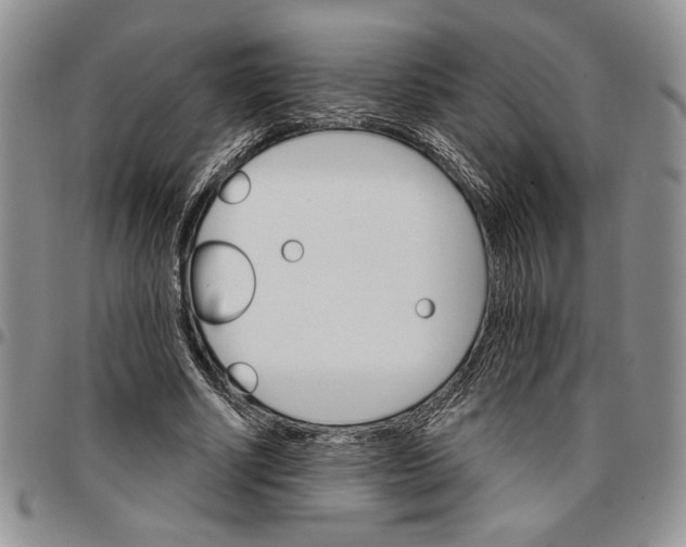 X0000096660634200803041201