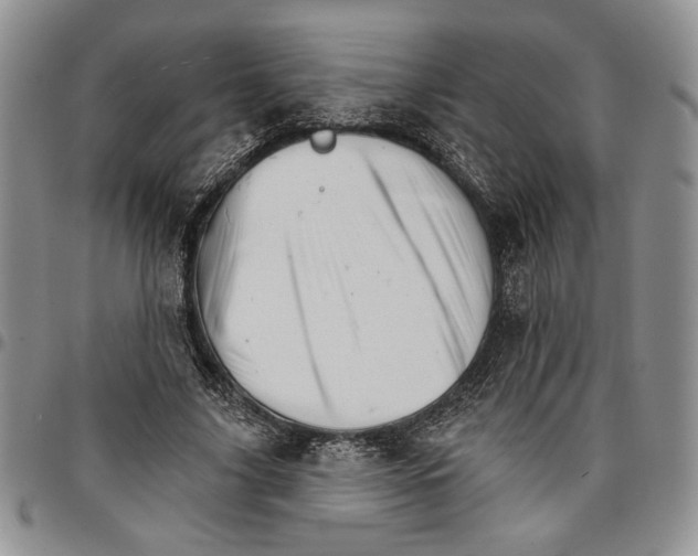 X0000096660635200803041201