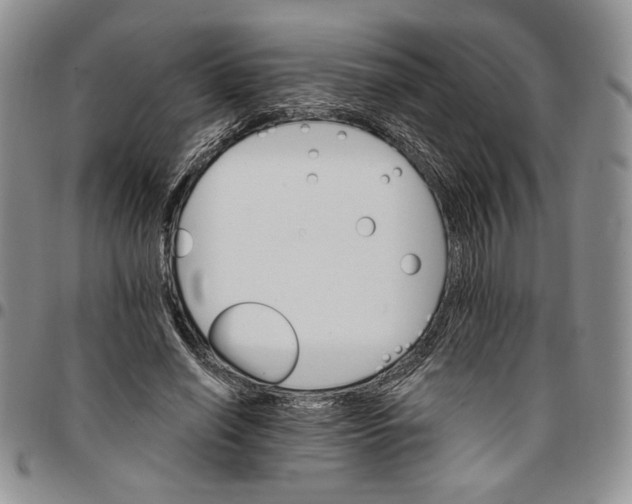 X0000096660638200803041201