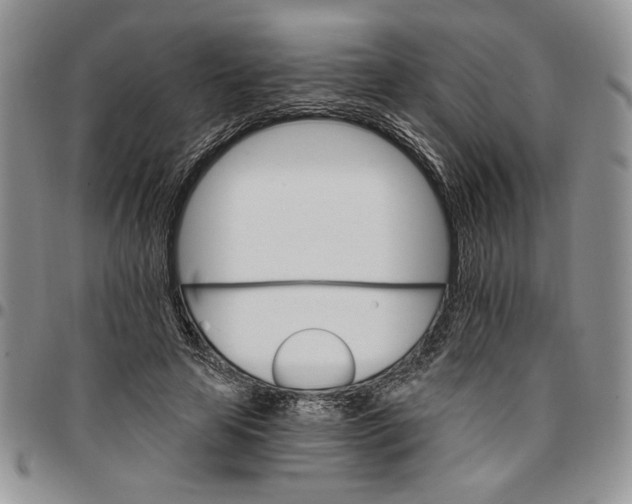 X0000096660641200803041201