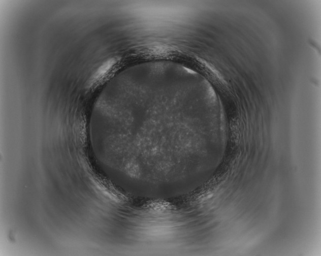 X0000096660642200803041201