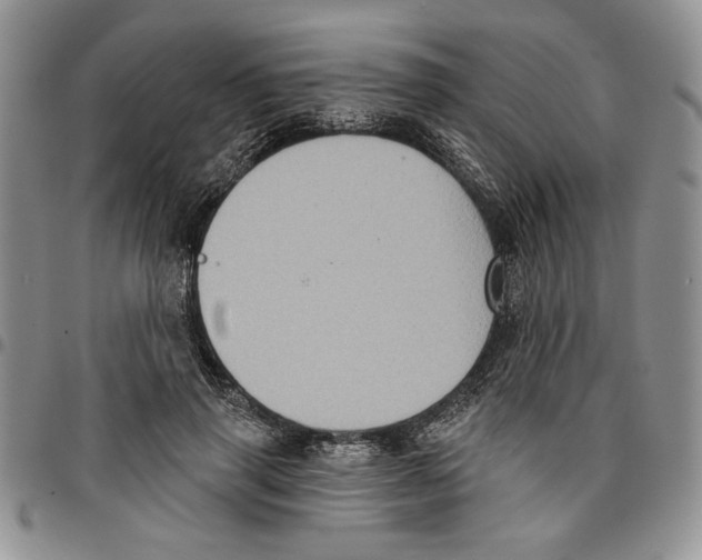 X0000096660645200803041201