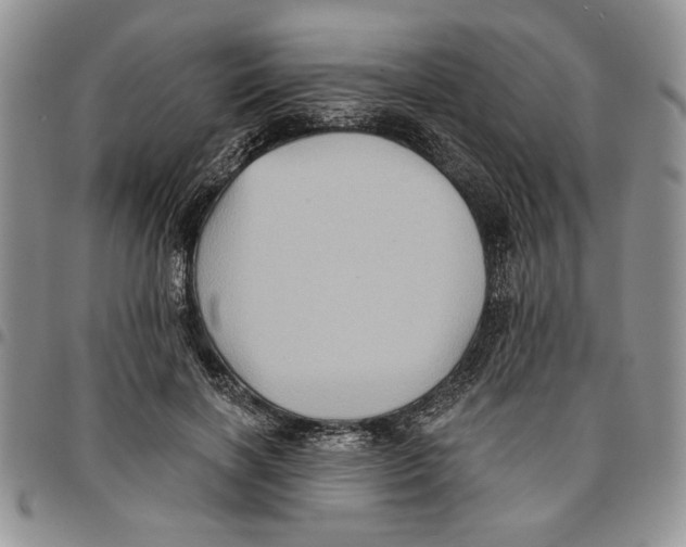 X0000096660646200803041201