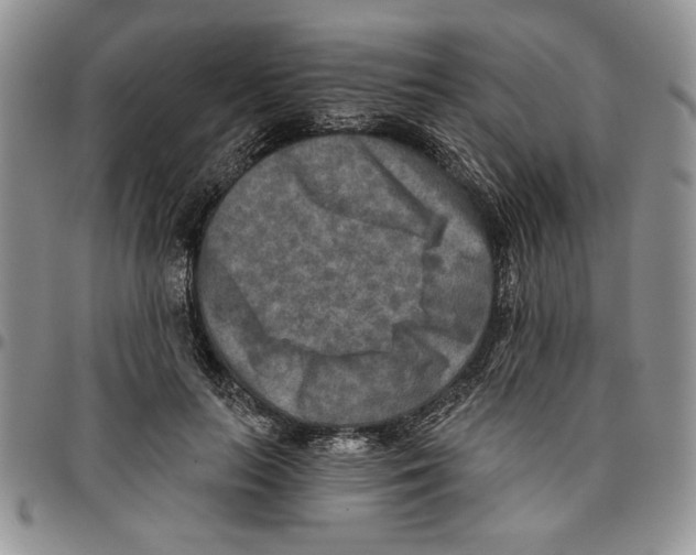 X0000096660647200803041201