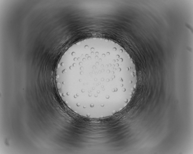 X0000096660650200803041201