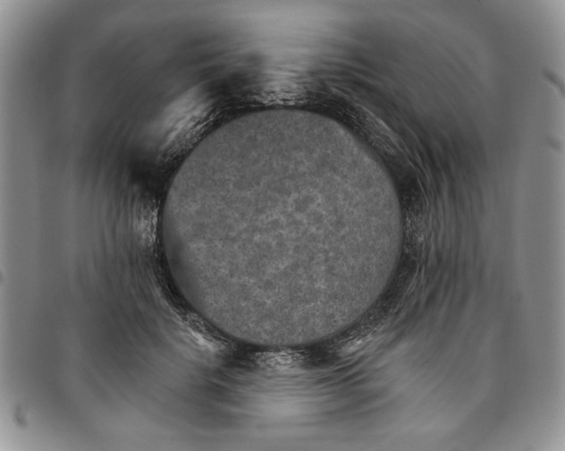 X0000096660652200803041201