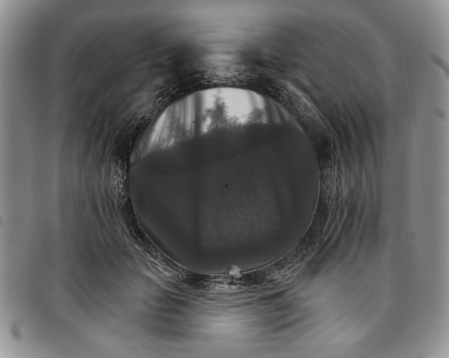 X0000096660653200803041201