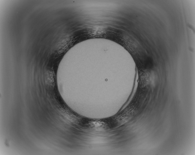 X0000096660654200803041202