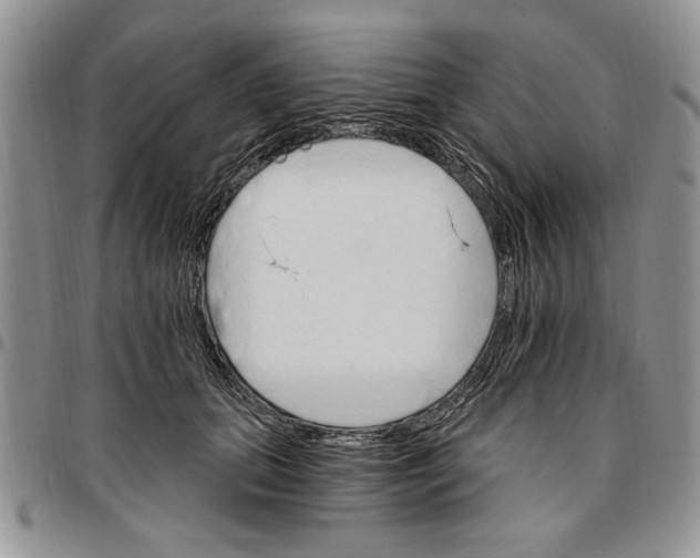 X0000096660655200803041202