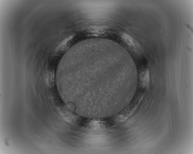 X0000096660657200803041202