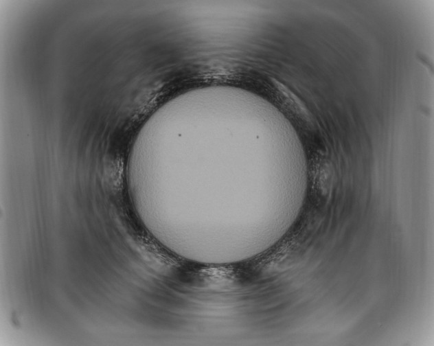 X0000096660660200803041202