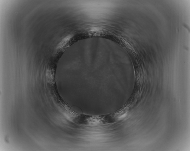 X0000096660661200803041202