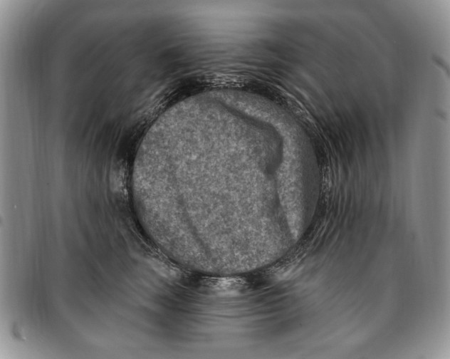 X0000096660663200803041202