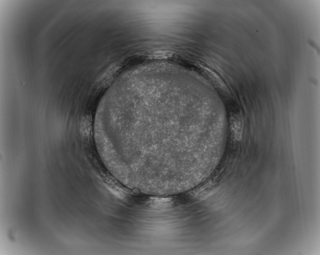 X0000096660665200803041202