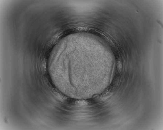 X0000096660668200803041202